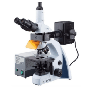 Микроскоп Dr.Focal SBM-1T FL